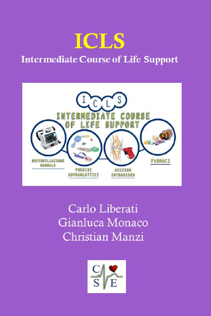 icls2025